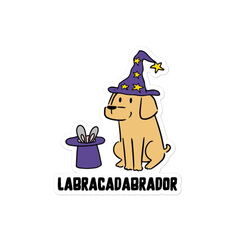 labracadabrador