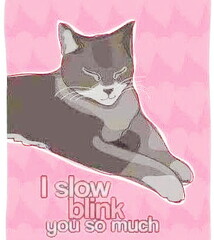 slowblink
